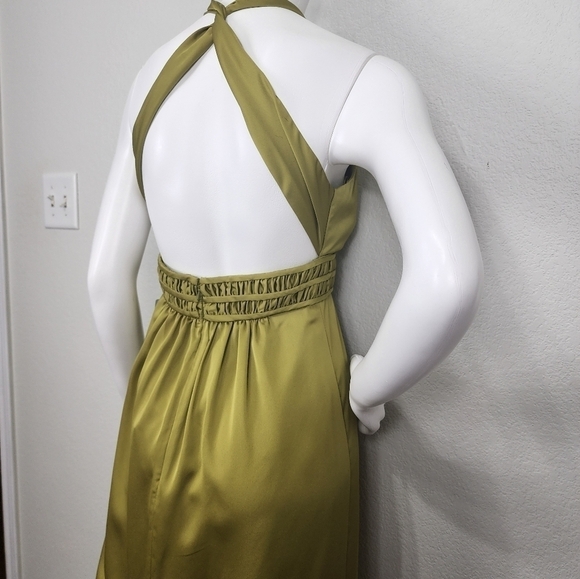 NWT Max And Cleo Apple Halter Maxi Dress Size 4 - Picture 5 of 14